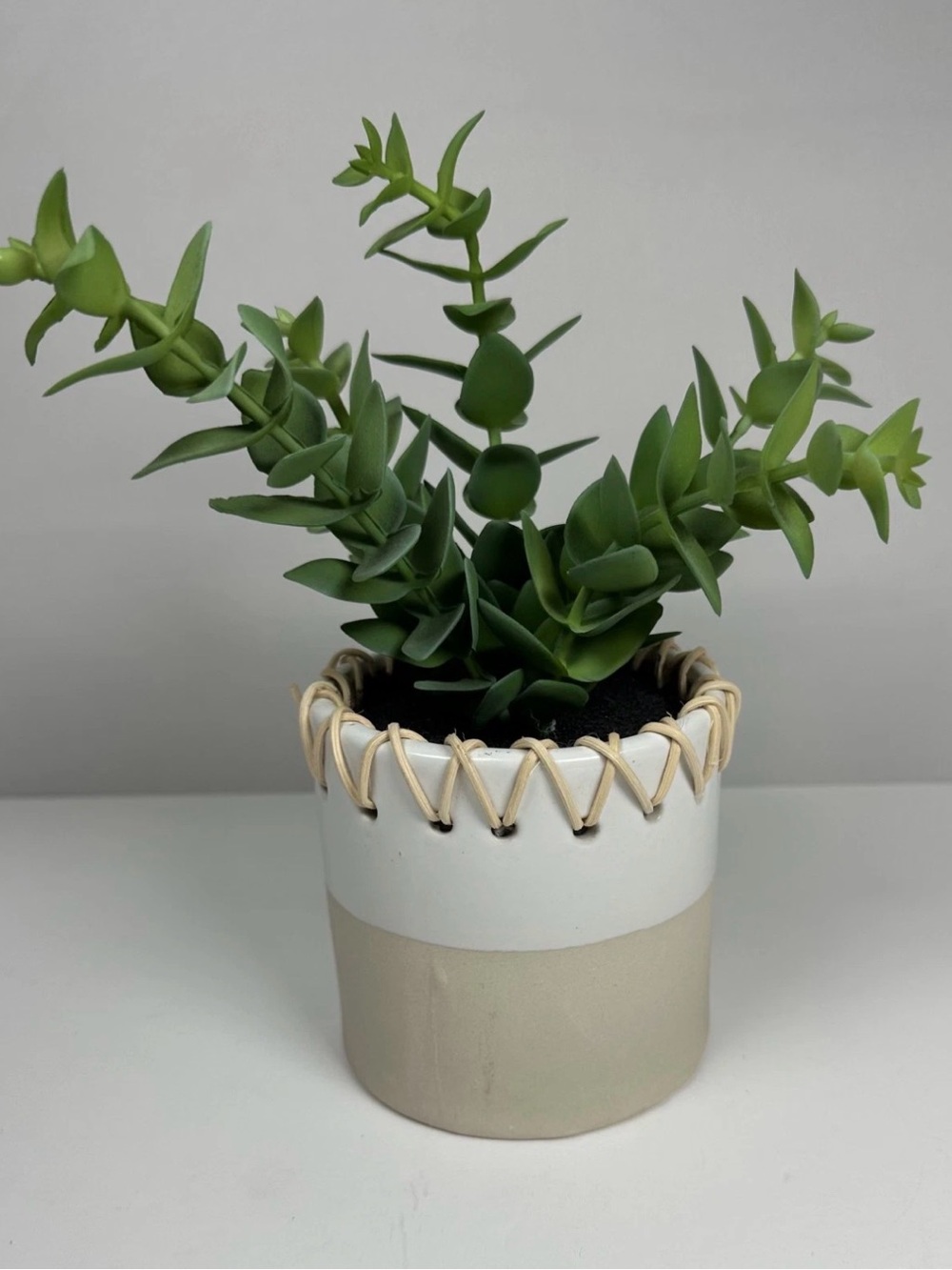 Place & Time Good Nature Décor Artificial Succulent in Twine-Wrapped Ceramic Pot